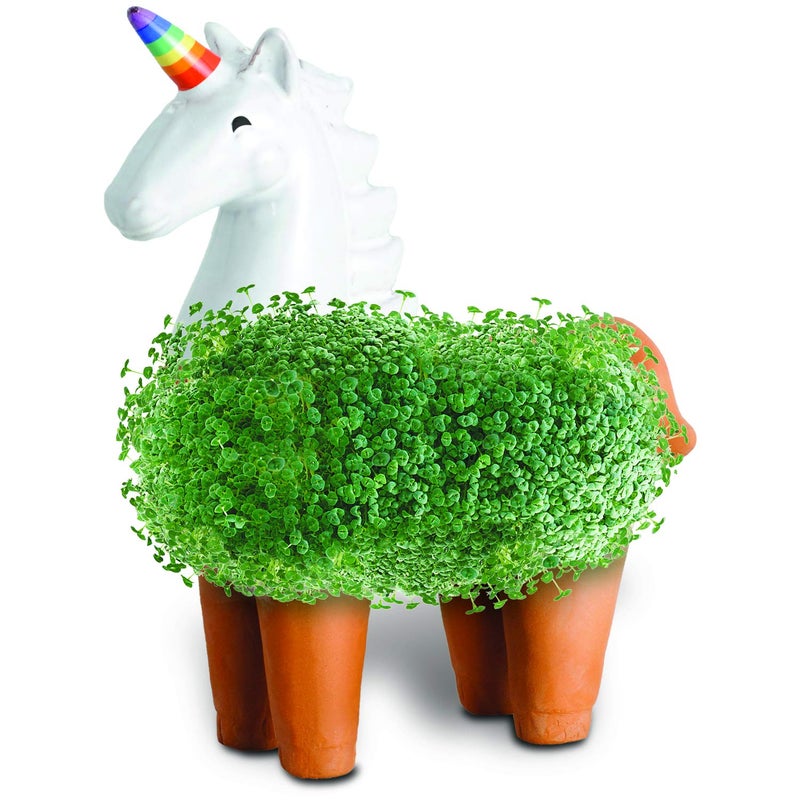 Chia CP437-01 Pet Unicorn Decorative Pottery Planter, Easy to Do and Fun to Grow - Image 4